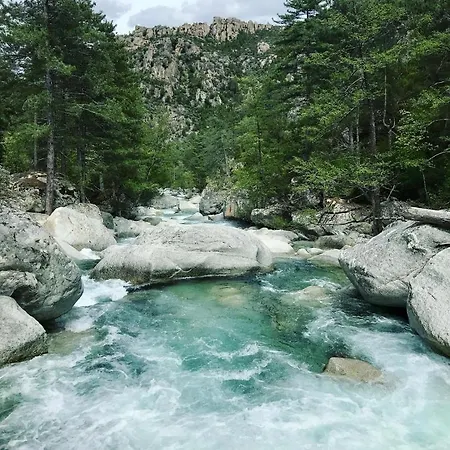 Les Jardins De Saint Pancrace Corte (Corsica)